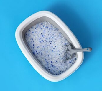 IRIS USA Open Top Cat Litter Tray