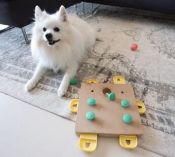 DR Dogs Food Puzzle Feeder Toys