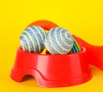 Chuckit! Ultra Ball Dog Toy Pack of 2