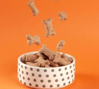 PUFBILL Pets Single Dish Feeder