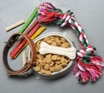 DEM 5-Piece Pets accessories Pack